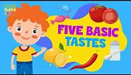 Five Tastes | The Five Basic Tastes | Sense of Taste | Science Lesson for Kids