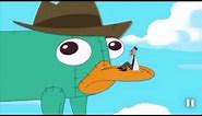 The Best "A Platypus? PERRY THE PLATYPUS!?" Compilation