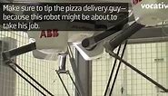 Domo Arigato, Pizza Roboto