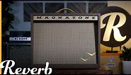 Magnatone Panoramic Stereo 2x10 Combo Amplifier | Reverb Demo