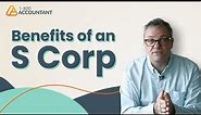 The Benefits of Forming an S Corporation