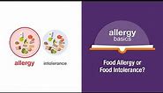 Food Allergy or Food Intolerance? | Allergy Insider