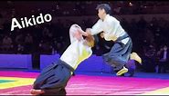 Amazing! Aikido is demonstrated at the KUDO tournament by Shirakawa Ryuji