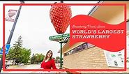 World's Largest Strawberry in Strawberry Point, Iowa | Iowa Roadside Attraction