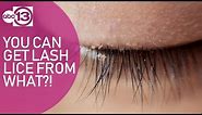 Risk of lash lice from this beauty product