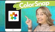 ColorSnap App Sherwin-Williams | How to Choose the Perfect Paint Color