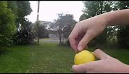 The Lemon Grenade