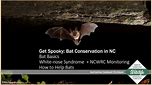 WED Talk: Get Spooky: Bat Conservation in NC