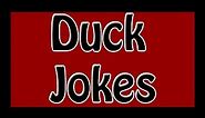 001 Duck Jokes