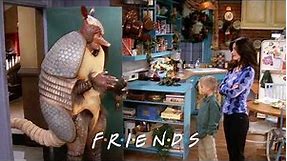 Ross Is the Holiday Armadillo | Friends