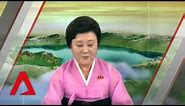 Trump-Kim summit: North Korean TV presenter Ri Chun Hee hails historic meeting