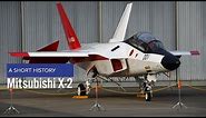 Mitsubishi X-2 - A Short History of the Japanese stealth fighter prototype