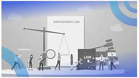 What Is Employment Law?