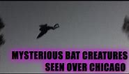 Humanoid Bat Seen In Chicago | Paranormal News