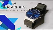 Skagen 233XLTTN Titanium Watch Review- SKU #8077131