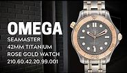Omega Seamaster 300M 42mm Titanium Rose Gold Watch 210.60.42.20.99.001 Review | SwissWatchExpo