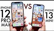 iPhone 13 Mini Vs iPhone 12 Pro Max! (Comparison) (Review)