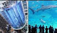 15 Largest Aquariums in the World