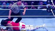 WWE Secret Referee Hand Signals (Revealed) #shorts
