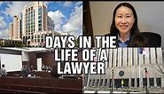 Days in the Life of a Family Lawyer. Attorney goes to Court