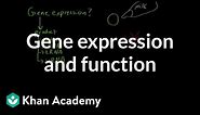 Gene expression and function | Biomolecules | MCAT | Khan Academy
