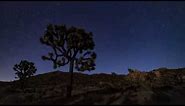 Night Sky Time-lapse in Joshua Tree National Park