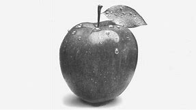 How To Draw An Apple | Pencil Drawing | Step By Step Tutorial