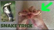 how to MAKE A SNAKE WITH YOUR HANDS