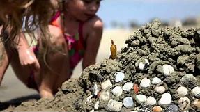 Girls Playing on a California Beach with Seashells and a Sand Castle, Childhood Memories Stock Video