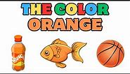 The Color Orange For Tikes |Things That Are Orange In Color | Lalay Kids TV