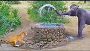 Elephant Sprays Water at Lion