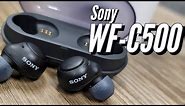Sony WF-C500: Sony's $99 TWS Earbuds