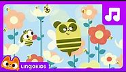 BABY BOT Knows BEES 🐝 🍯 Cartoons for Kids | Lingokids | S1.E9
