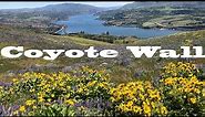 Washington Hiking Coyote Wall in the Columbia Gorge springtime with wildflowers.