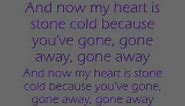 Taio Cruz - I'll Never Love Again Lyrics.