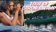 CARONI SWAMP TRINIDAD AND TOBAGO| Tour of the Caroni Swamp