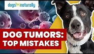 How To Tell If Your Dog's Lump Is Cancer