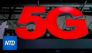 Doctors call for delaying deployment of 5G due to health risks | NTD