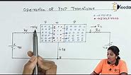 Operation of PNP Transistor - Bipolar Junction Transistor - Basic Electronics