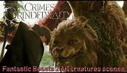 Fantastic Beasts 2 (2018) All creatures scenes | Final Battle with Grindelwald