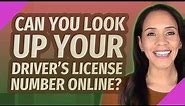 Can you look up your driver's license number online?