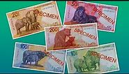 South Africa new 10 20 50 100 and 200 rand banknotes | New South African Currency Coming in 2023