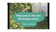 WhatsApp Status: What It Is and How to Use It