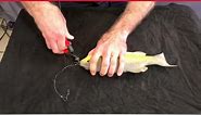 KNIPEX Tool Tips - Cutting fishing hooks