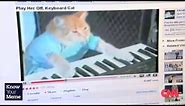 Know Your Meme: Keyboard Cat