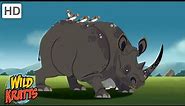 Amazing Adaptations Part 3 | How Animals Survive in the Wild | Wild Kratts