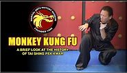 The History of Monkey Kung Fu