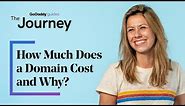 How Much Does a Domain Name Cost per Year - And Why? | The Journey