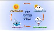 The Water Cycle- How rain is formed-Lesson for kids