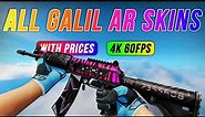 CS:GO ALL Galil AR Skins Showcase + Prices [4K 60FPS]